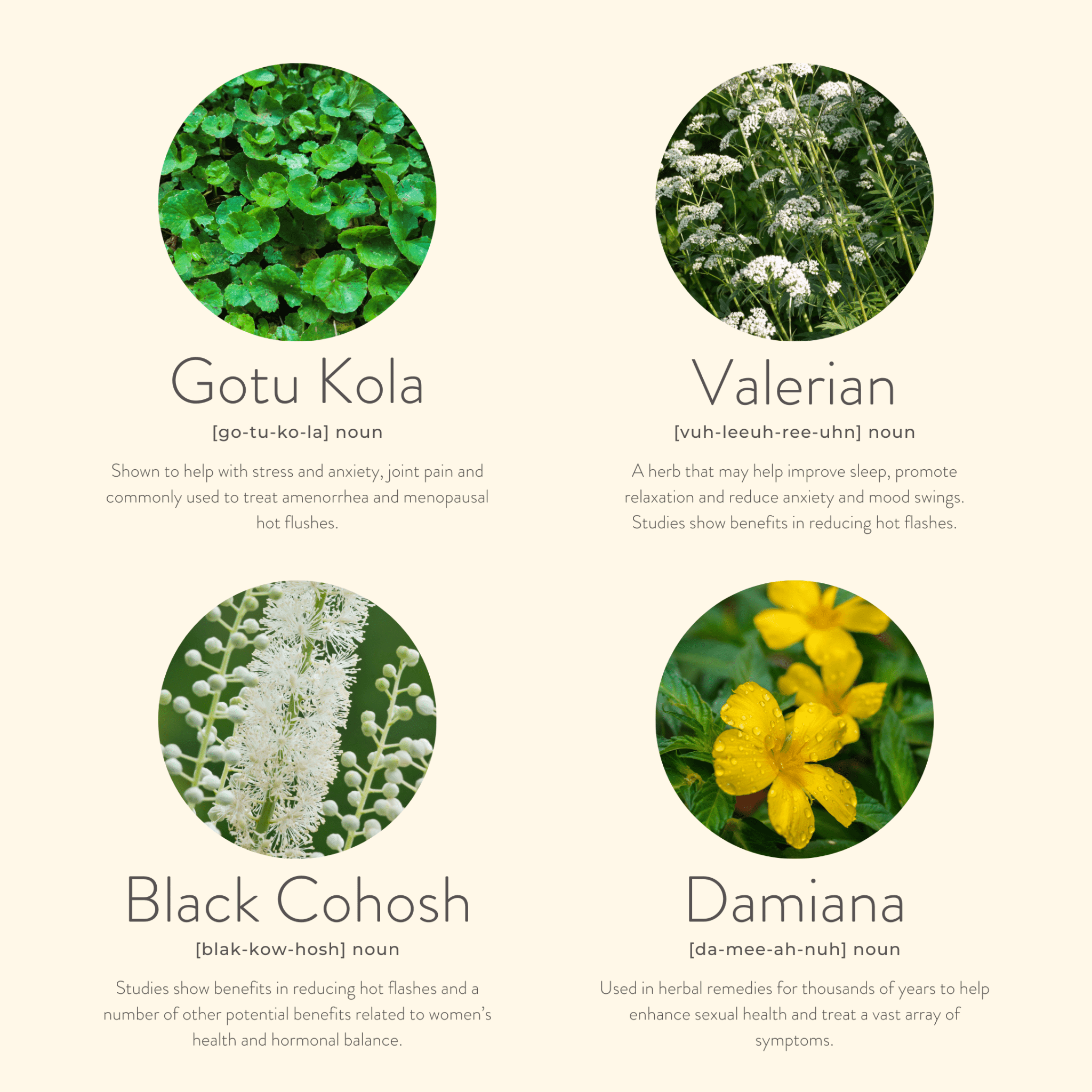 Menopause Balance Patches – Natural Daily Relief 30 Day Pack