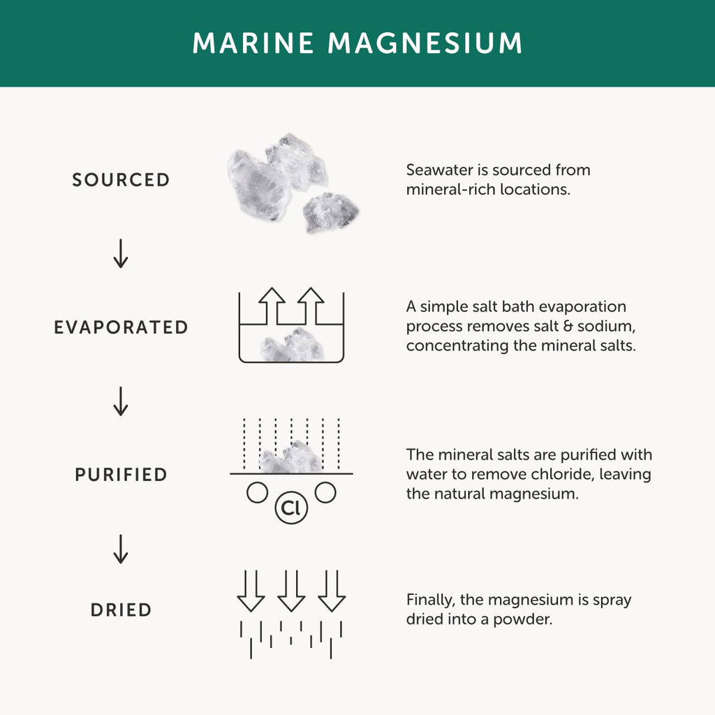 Magnesium Supplement – 30 Capsules