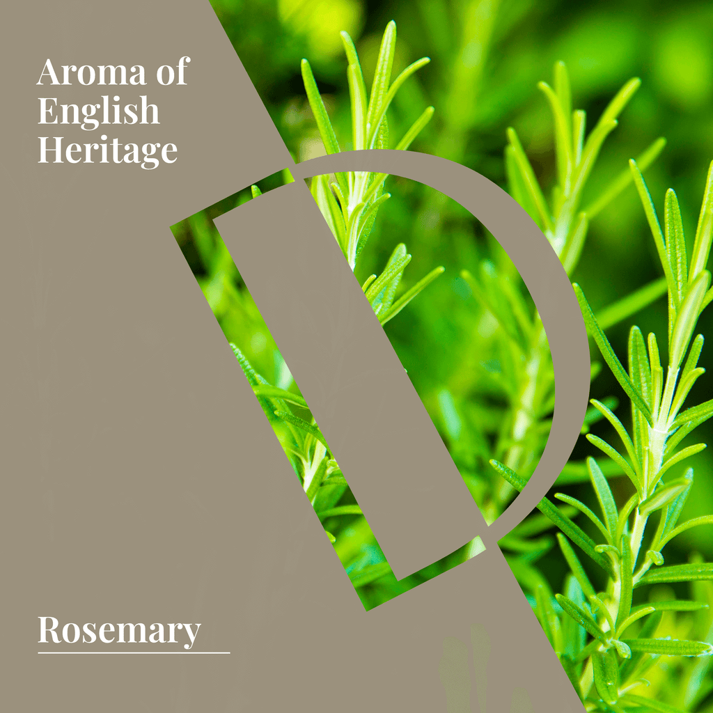 Rosemary Organic Wellness Grade Essential Oil