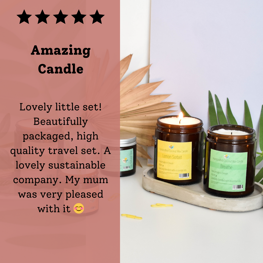 Wildflower Wisp Hand-Poured Coconut Wax Candle | Floral & Natural Aromatherapy | Vegan, Eco-Friendly Candle | 2 Size Options