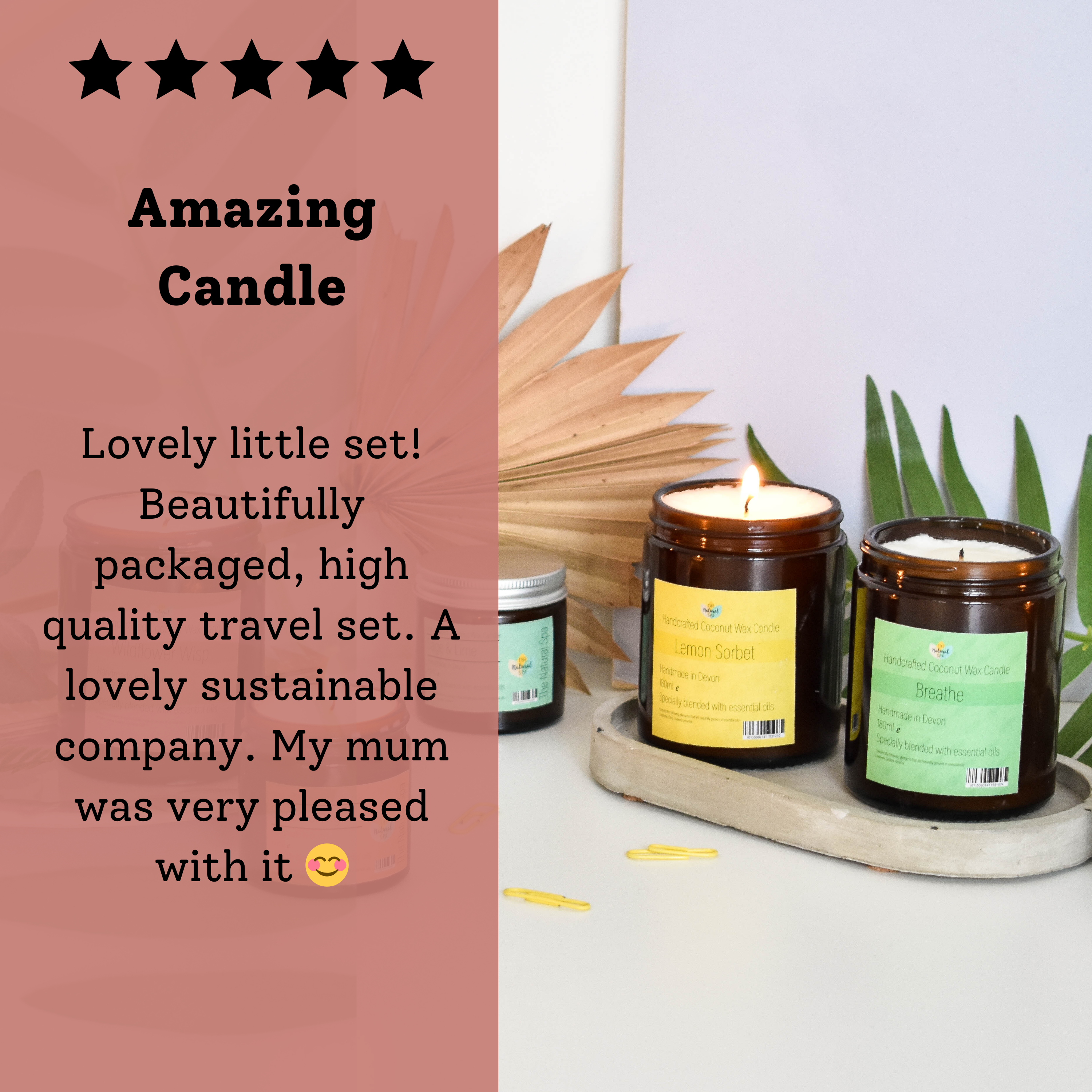 Wildflower Wisp Hand-Poured Coconut Wax Candle | Floral & Natural Aromatherapy | Vegan, Eco-Friendly Candle | 2 Size Options